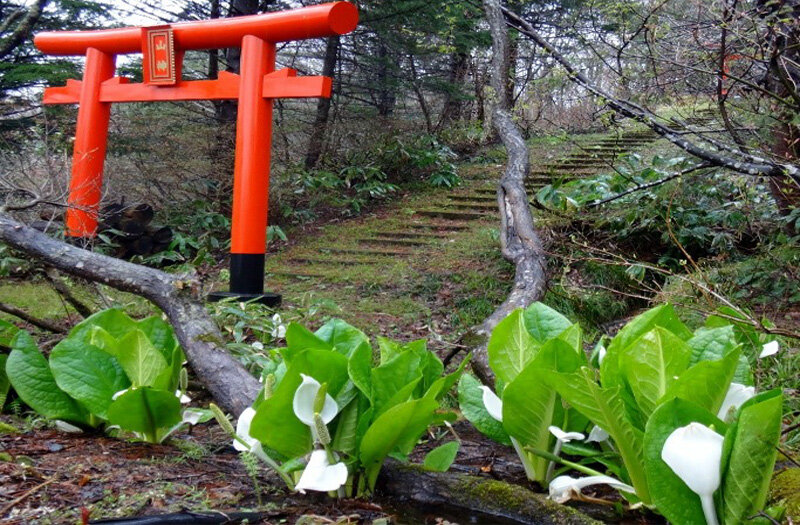 許可状況について